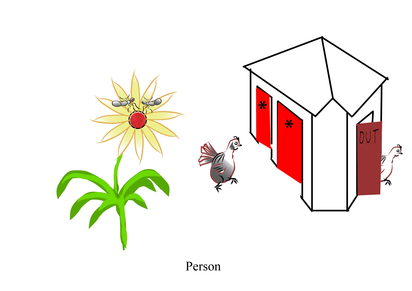 Person